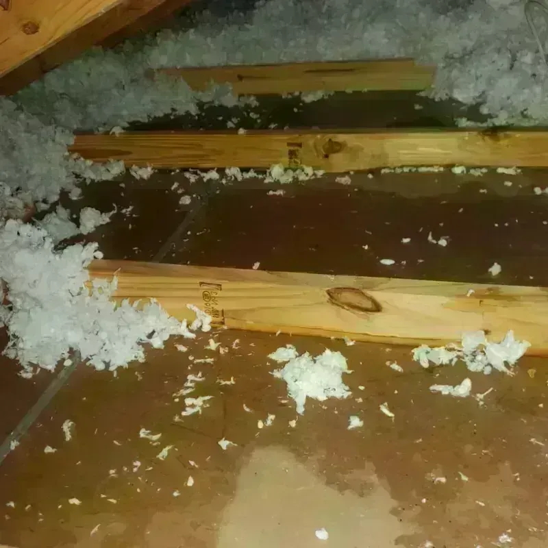 Attic Water Damage in Oklahoma County, OK