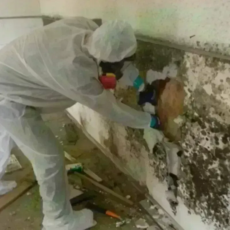 Mold Remediation and Removal in Oklahoma County, OK