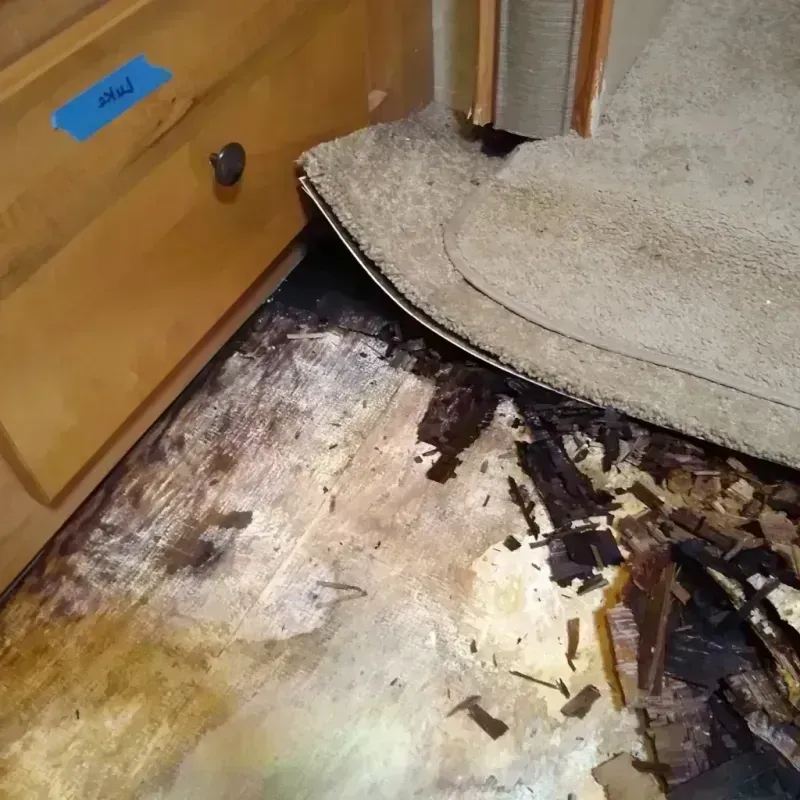 Wood Floor Water Damage in Oklahoma County, OK